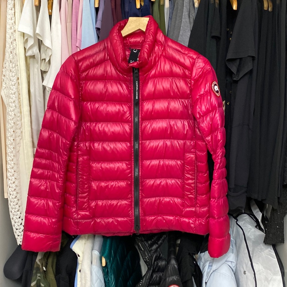 Pink Canada Goose
